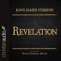 Holy Bible in Audio - King James Version: Revelation Audiobook By King James Bible cover art