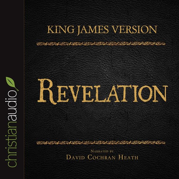Cover art for Holy Bible in Audio - King James Version: Revelation
