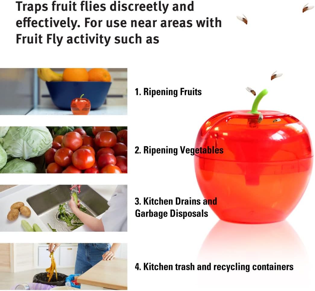 Raid Fruit Fly Trap for Indoors | Effective Fly Killer | Insect Catcher | Fruit Fly Killer & Gnat Traps for House Indoor | Easy to Use & 120 Day Food-Based Lure Fly Catcher (2 Pack)