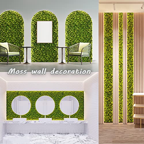 Image of Amoueterno Preserved Moss 4 Color Reindeer Moss,Total 14OZ Each Color 3.5OZ, Natural Real Green Moss DIY Kit Moss Crafts Art Wall Decor Florist Decor Forest Green /Yellow Green /Leaves Green /Grass Gree