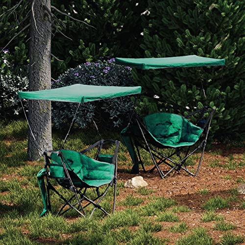 Arrowhead Outdoor Portable Folding Swinging Hammock Camping Chair, Removable Canopy, Perfect For Stargazing, Cup Holder, Storage Pouch, Carrying Bag Included, Supports Up To 300Lbs, Usa-Based Support #TOP5