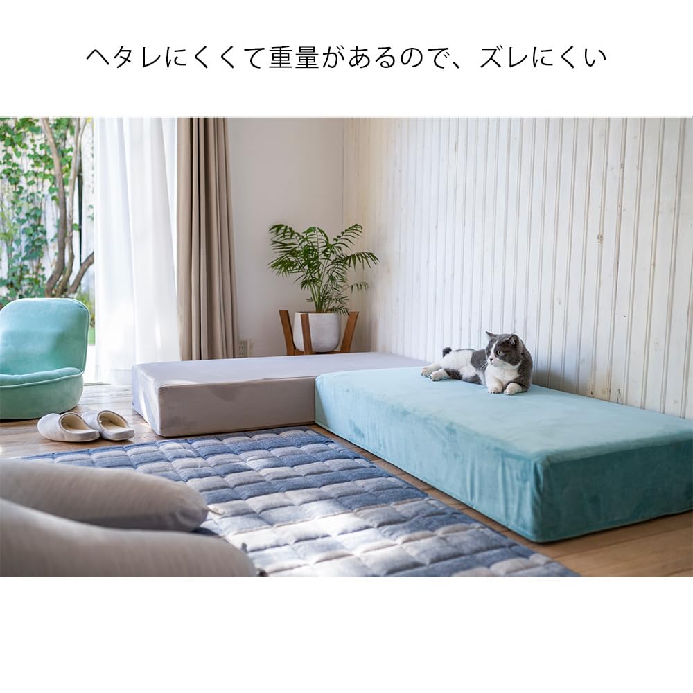 Amazon｜カインズ(CAINZ) ブロックソファカバー ＆Pet