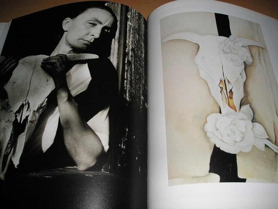 ジョージアオキーフ　作品集 GEORGIA O'KEEFFE ジョージア・オキーフ - books used and new