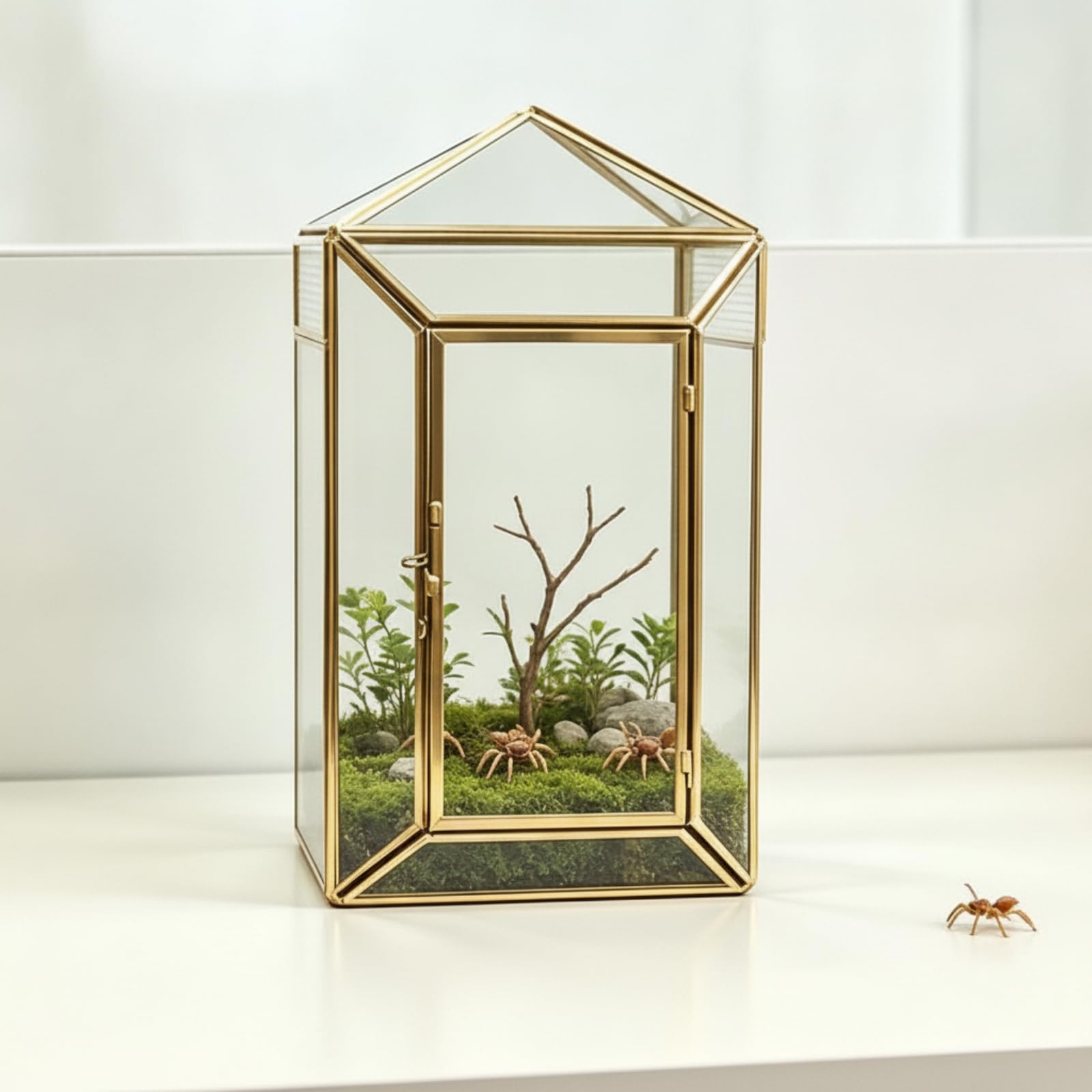 in Ventilato con Tetto a Punta e Pannelli di Ventilazione Multiuso Terrario in per Scrivania, Nero