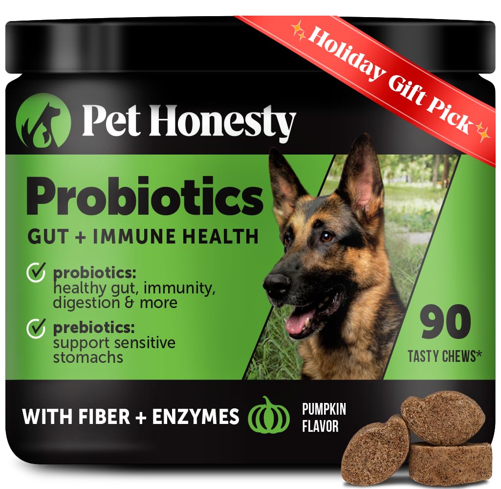Pet Honesty Probiotics for Dogs - Digestive Enzymes Promotes Gut Health, Dog Probiotics for Bowel Support, Fiber for Regularity, Prebiotics for Immune Health & Gut Flora (Pumpkin, 90 ct)