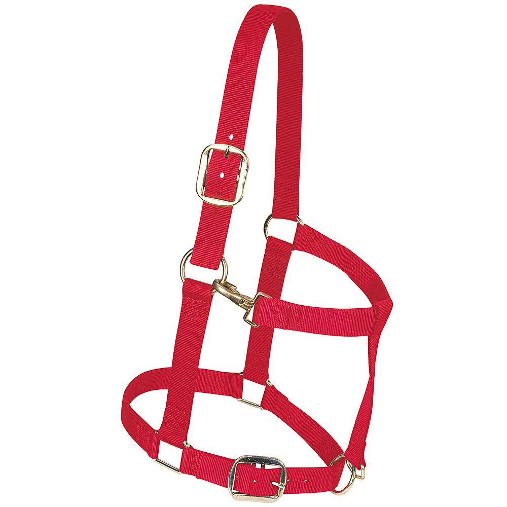 Weaver Leather Original verstellbares Pferdehalfter aus Nylon