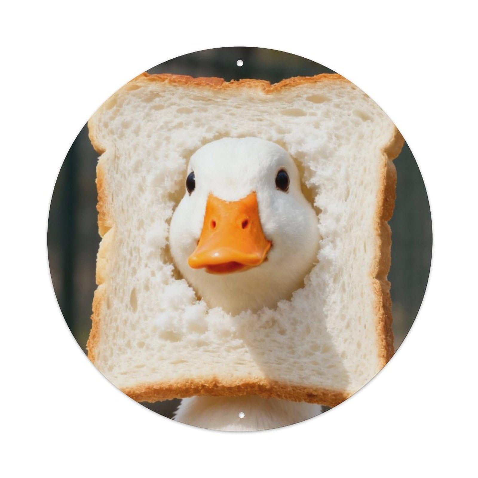Animal Funny Duck with Toast Bread Cute Pet Photography Vintage Metal Tin Sign Plaque Wall Decor for Cafe, Club Bar, Office, Garden Metal Poster 8x8Inch