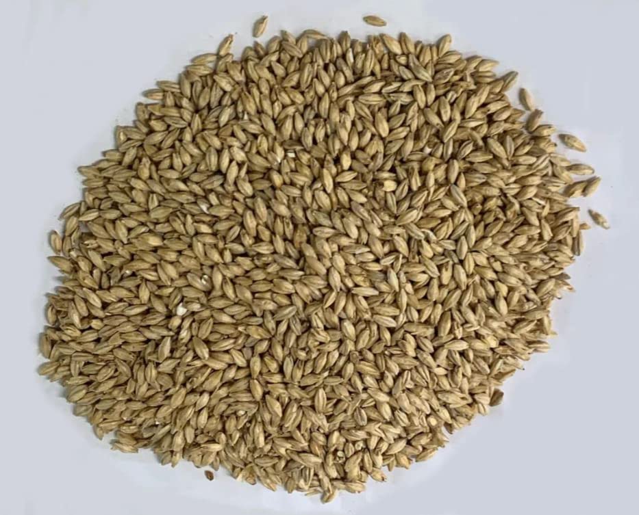 North Georgia Still Company's LAW II Single Malt Master Distiller Whiskey Fermentation Kit