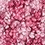 Diva Wild Pink
