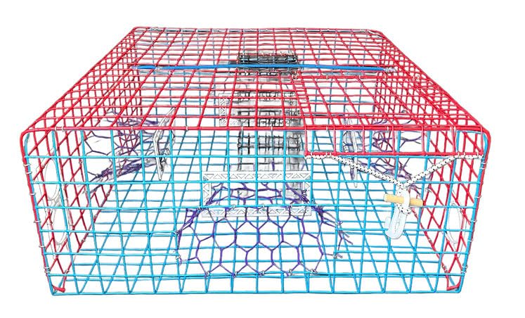 Florida Legal Large Blue Crab Trap, 24' x 24' x 10.5', 4 Funnel, Heavy Duty 1.5' Square Wire Mesh. 2''x6''Turtle Exclusion Device. Extreme Durability and rugedness. Blue Crab Pot.