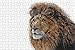 LHJOY giochi bambina puzzle 500 pezzi Testa di gatto grande leone guardando animale Regalo Compleanno Regalo di festa 52x38cm