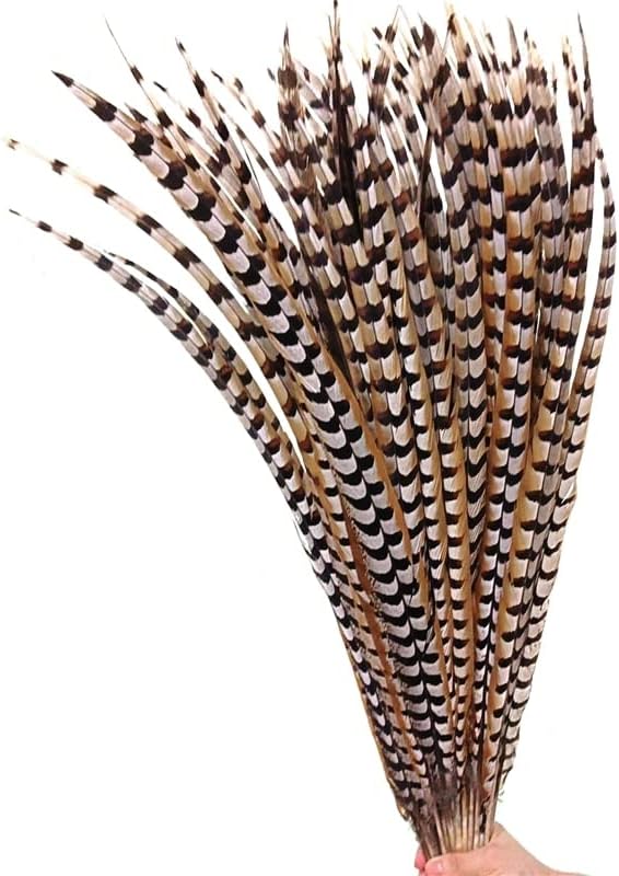 Natural Lady Amherst Pheasant Feathers for Decoration Top with Long Reeves Venery Feather Carnival Accessories Performance Props - 10 Piece