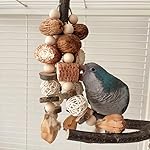 Parrot Bird Chewing Toys-Natural Nuts Corn Parrot Tearing Toy-Wooden Bird Cage Toy for African Grey,Macaws Cokatoos, - Image 4