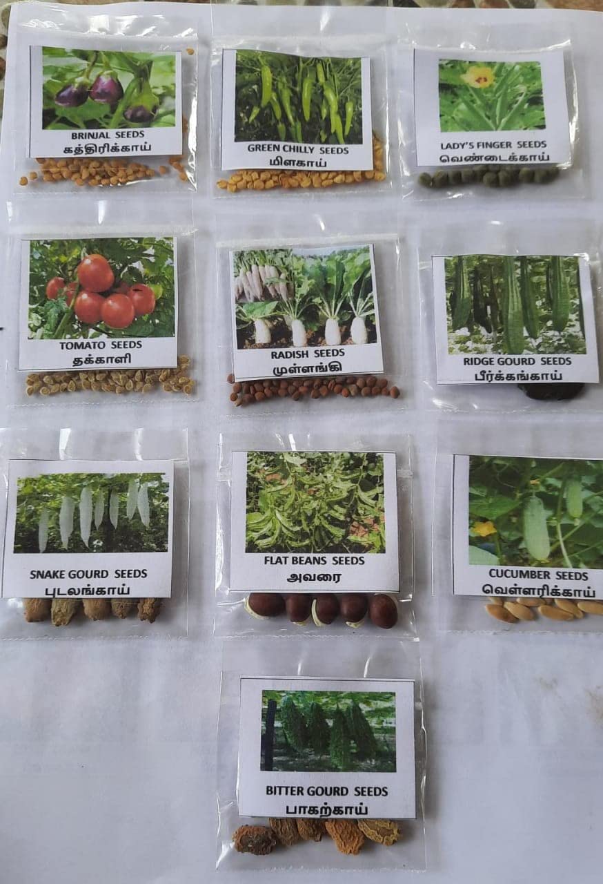 Lingam Garden Vegetable seeds 10 Types in 1 combo pack (B0BXHNW6B7) Amazon Price History, Amazon Price Tracker