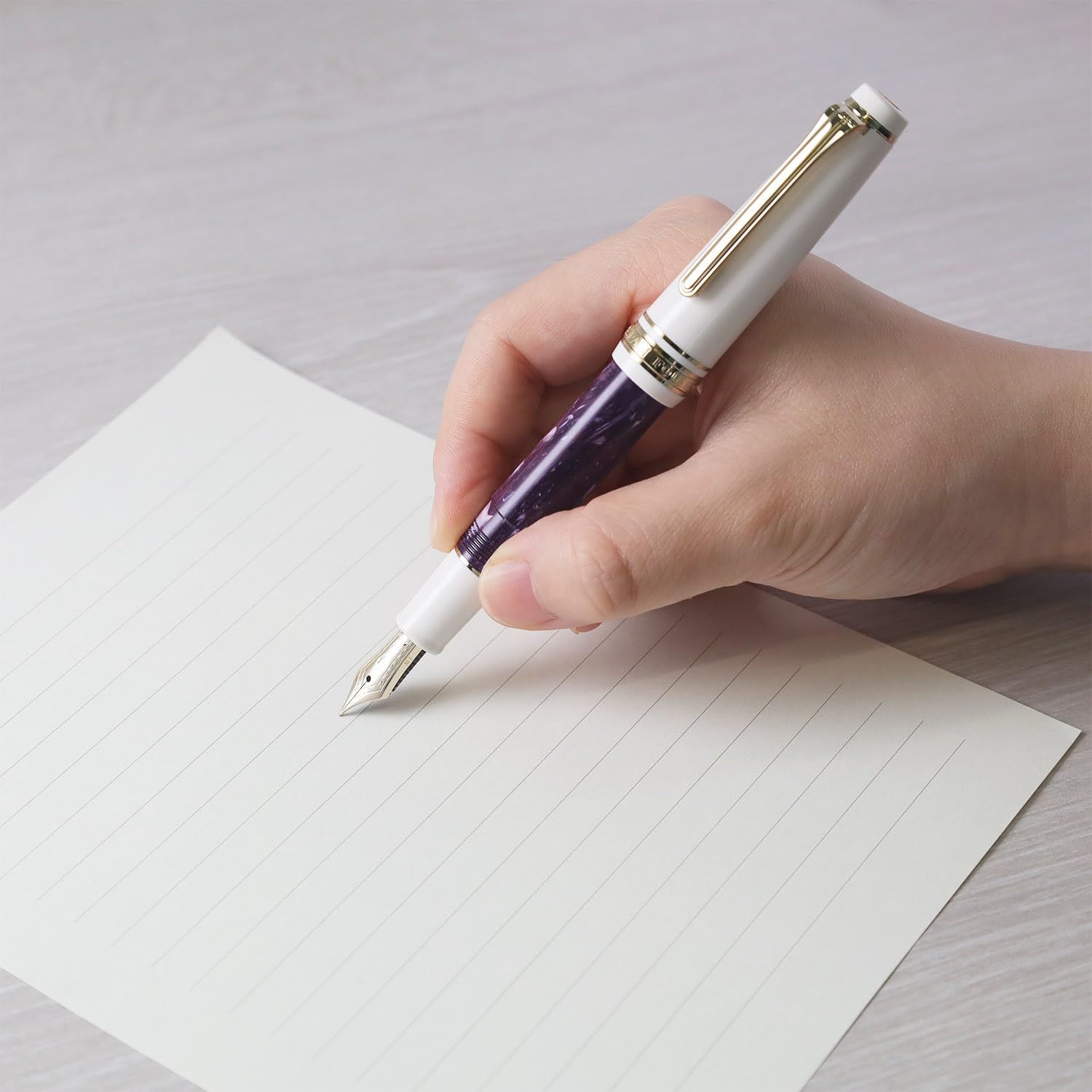 Amazon | セーラー万年筆 ランコントル万年筆 レザン 中細 11-2231-332