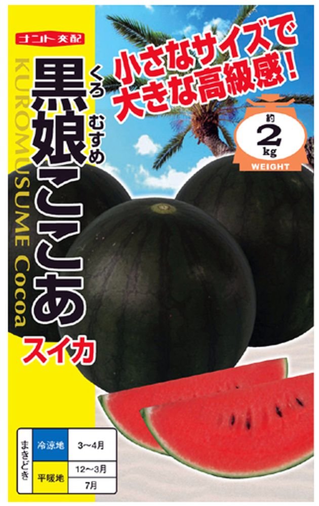Amazon | ナント種苗 黒娘ここあ(すいか) | 野菜