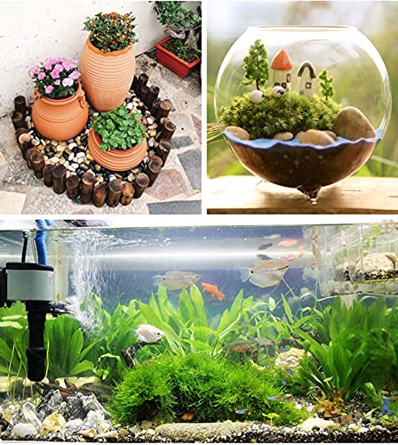 Kiesel Natur Deko Polierte Deko Steine ​​Naturkiesel Kies für Garten Steine ​​2-4 cm 900g Kiesel Garten/Aquarien/Pflanzendeko