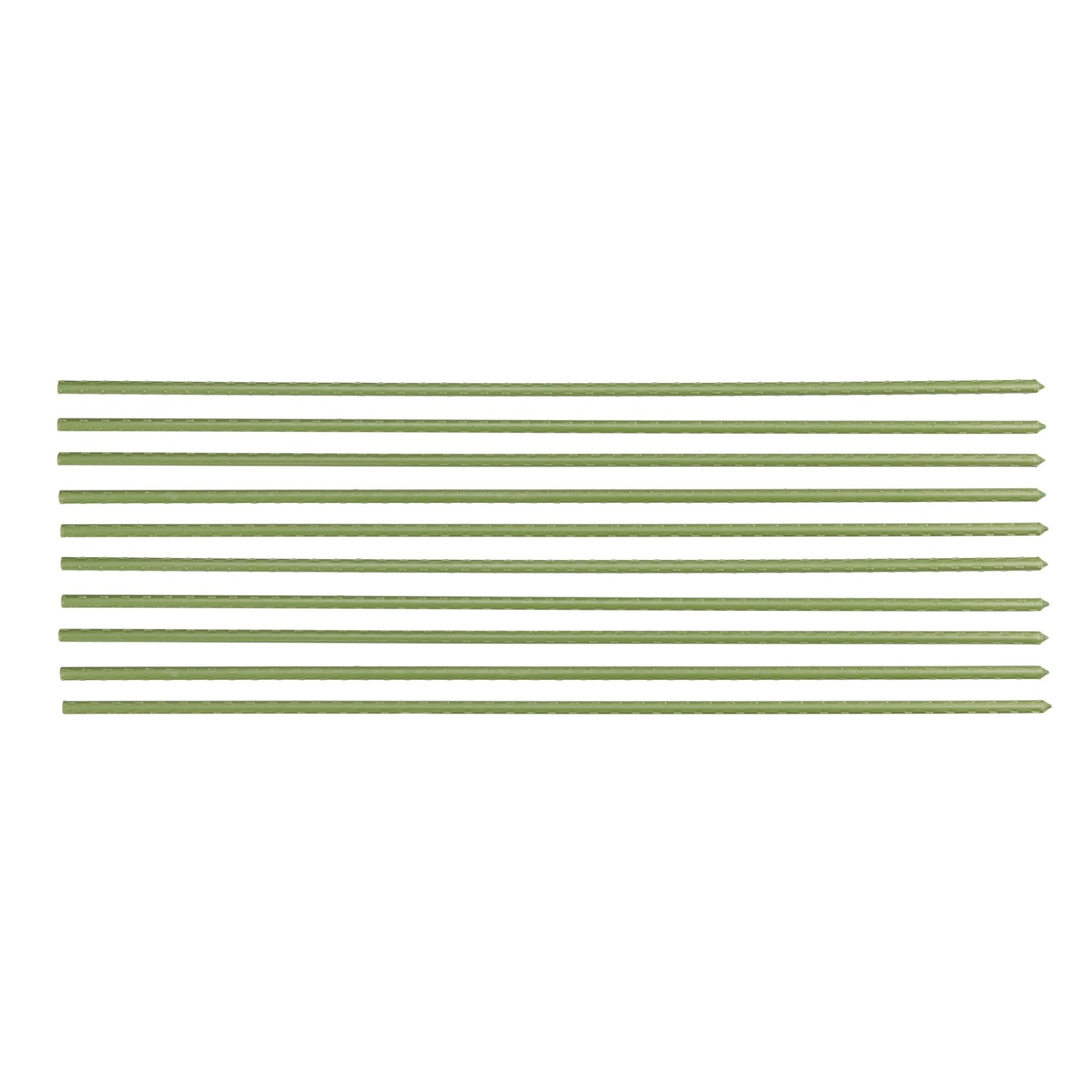 Durable Plastic-Coated Metal Garden Stakes with Ribbed Surface 75cm Long for Extra Grip and Easy Ground Penetration - Includes Cane Connectors for Extending and Frameworks (10)