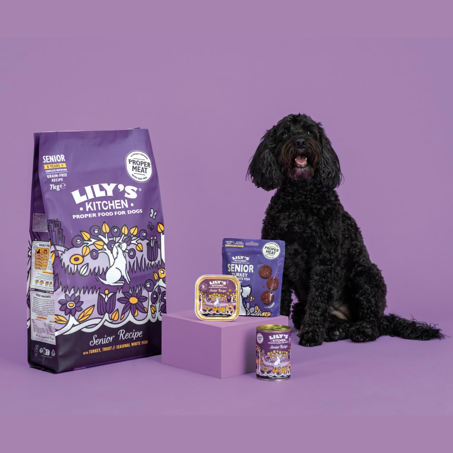 Lily’s Kitchen Mit natürlichen Zutaten hergestellt Trockenfutter für Seniorhunde Truthahn & Forelle Vollwertige Ernährung 7kg Beutel