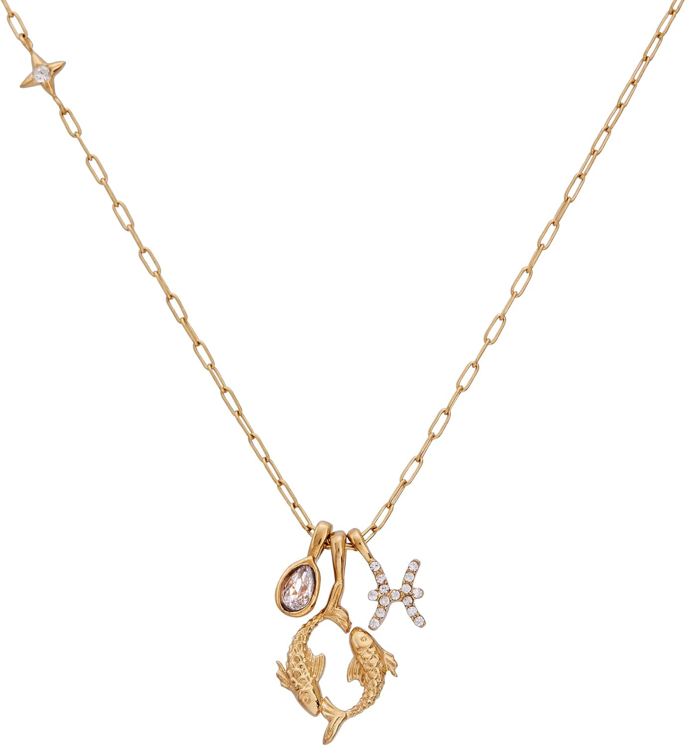 Alex and Ani Zodiac Charm Cluster Necklace