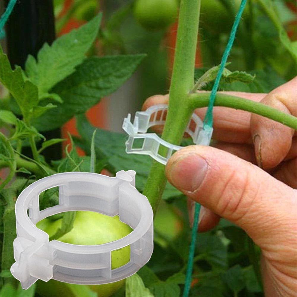 Home Clearance SaleHome Clearance Sale Trellis Tomato Clips - 100 Pieces