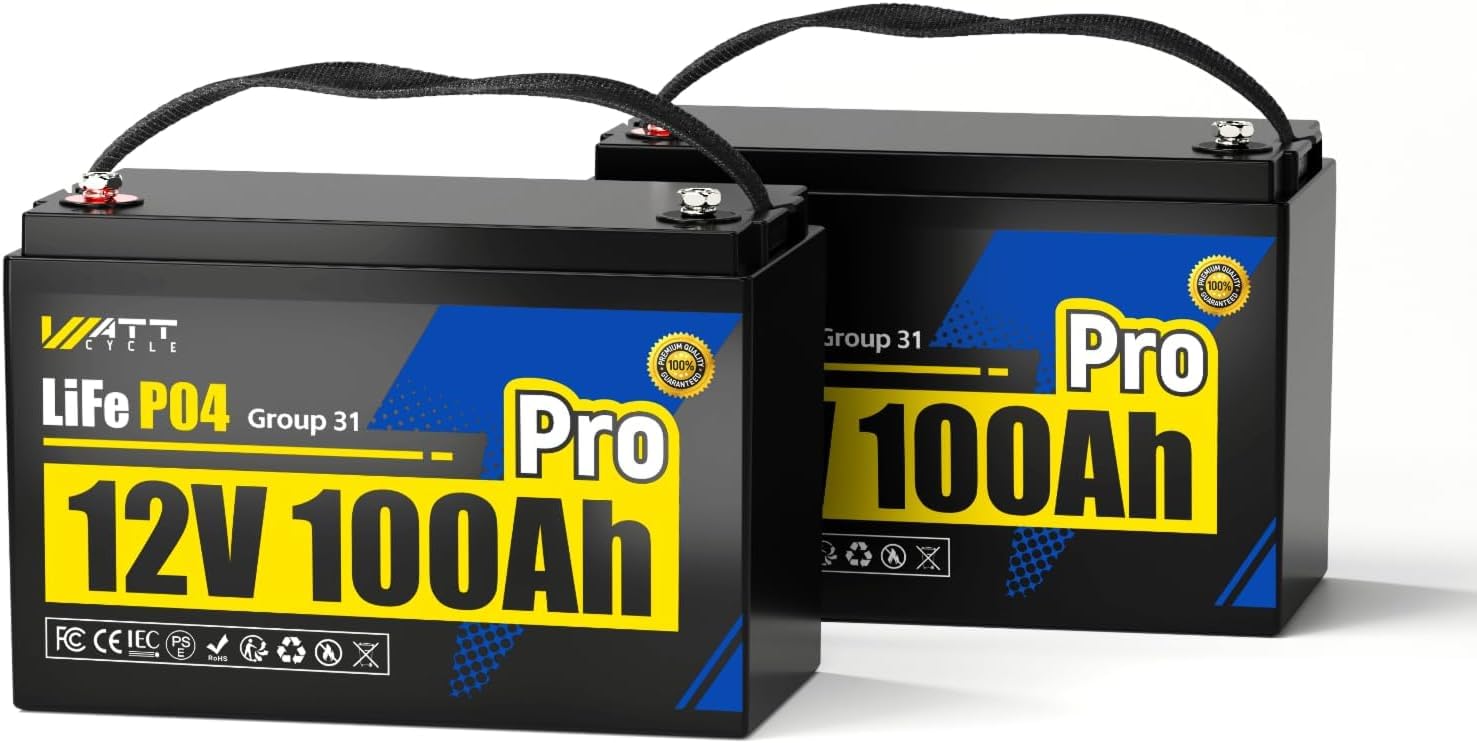 Wattcycle 12V 100Ah Lithium Battery 2 Pack, LiFePO4 Battery 12V 110A BMS, Lithium RV Batteries 15000+ Deep Cycles, Built-in Low-Temperature Protection