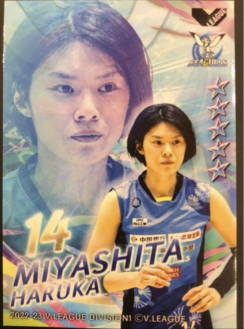 Amazon.co.jp: MVP!岡山シーガルズ 宮下遥 カード バレーボール