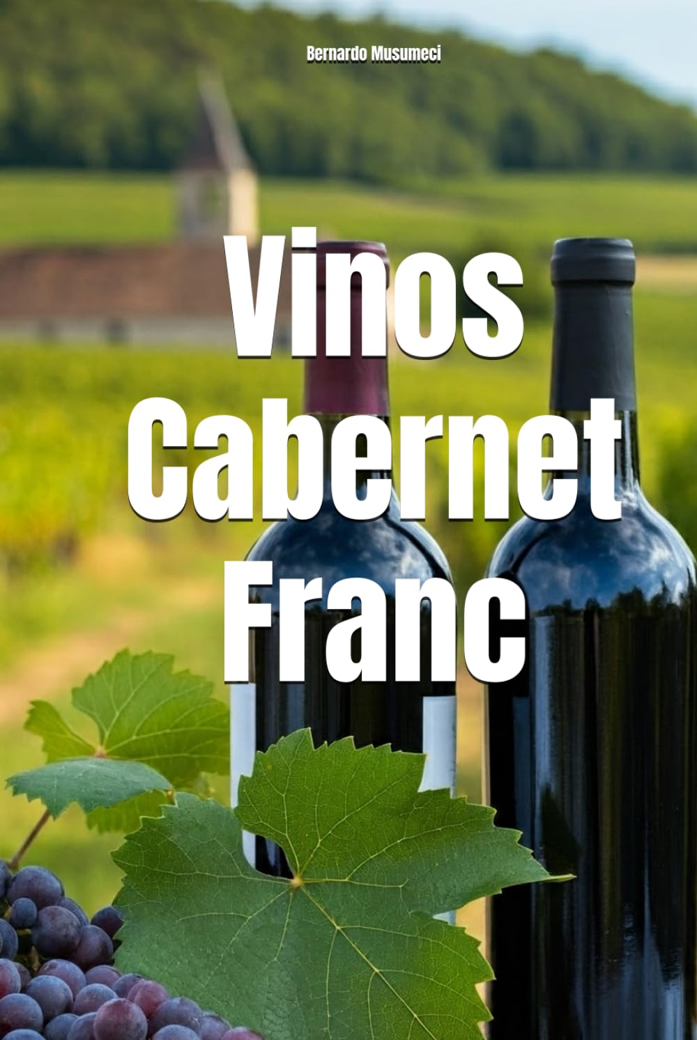 Vinos Cabernet Franc (Wines of the World: France)