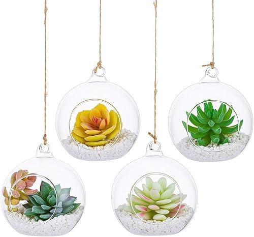 NUPTIO 4 plantas colgantes de terrario de vidrio, 4 pulgadas de diámetro, terrario colgante de vidrio de terrario, terrarios de vidrio para plantas