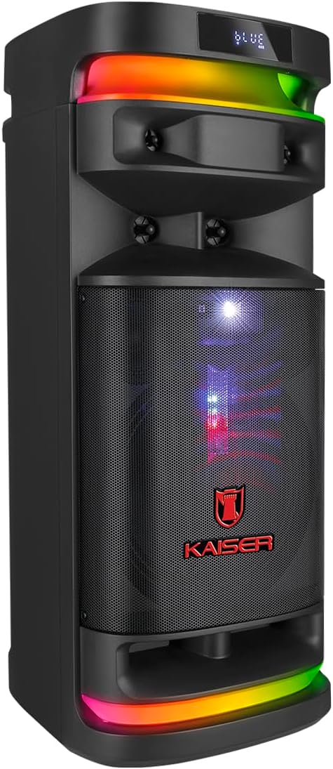 Rear view of the Kaiser KSB-4012 speaker system