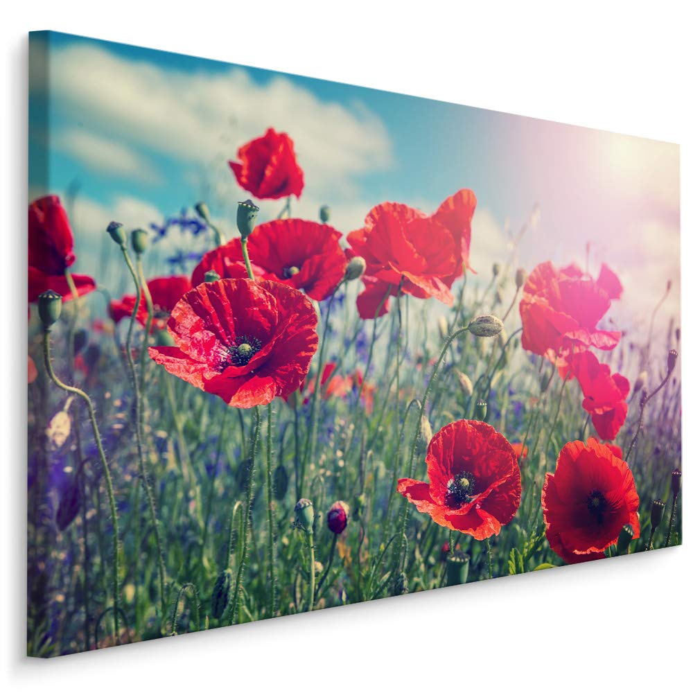 Muralo Wandbild Blumen, Mohnblumen, Sonne, Natur, Landschaft - 120x80 cm | Leinwandbild, Modernes Design, hochauflösender Druck - ideal für Schlafzimmer und Wohnzimmer, Frühlingsflair das ganze Jahr