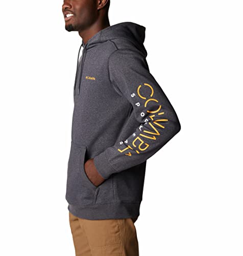 Image of Columbia Men CSC Basic Logo II Hoodie