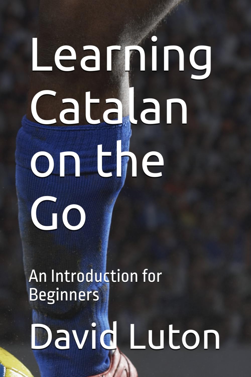 Learning Catalan on the Go: An Introduction for Beginners