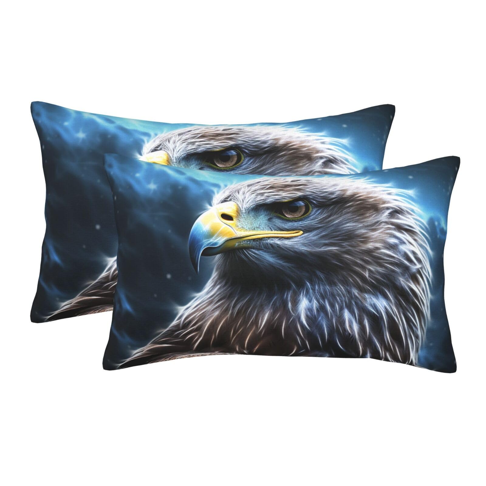 2 Pack Pillow Cases with Hidden Zipper, Soft Breathable Pillow Covers for Hair and Skin, Night Sky Eagle Pillowcases 20"x30" Bed Pillow Protectors Cover for Sleeping Gifts