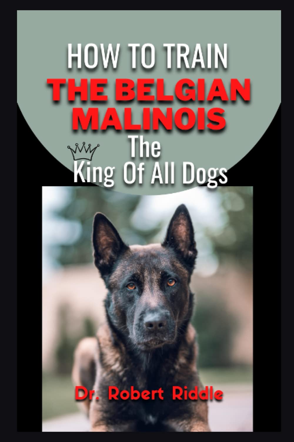 HOW TO TRAIN BELGIAN MALINOIS: The King Of All Dogs