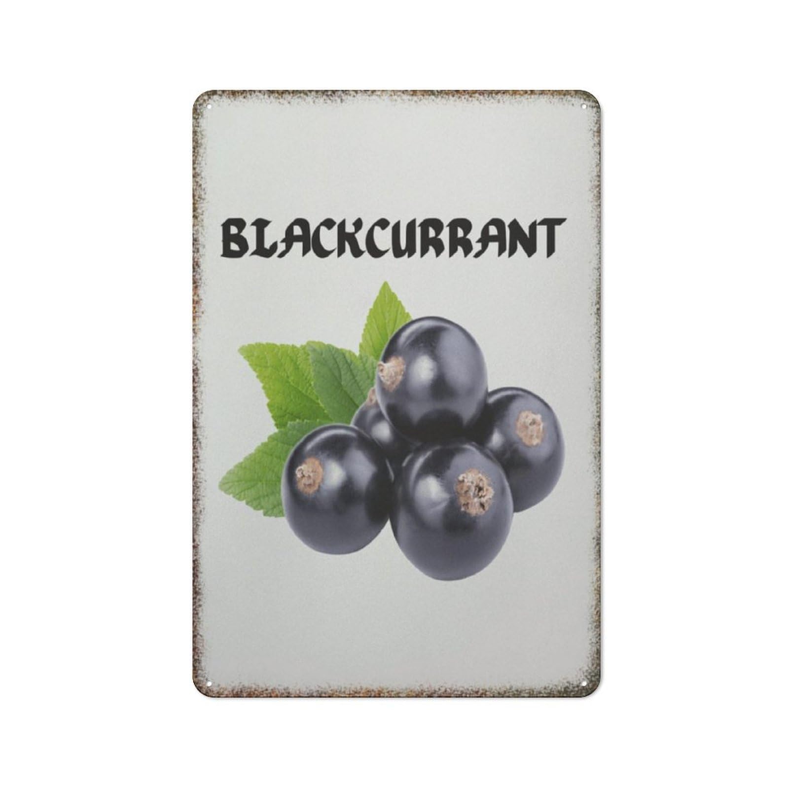 Fresh Blackcurrant Fruit Metal Painting Kitchen Nursery Kids Room Horticulture Themed Retro Wall Decor 8x12 Inch