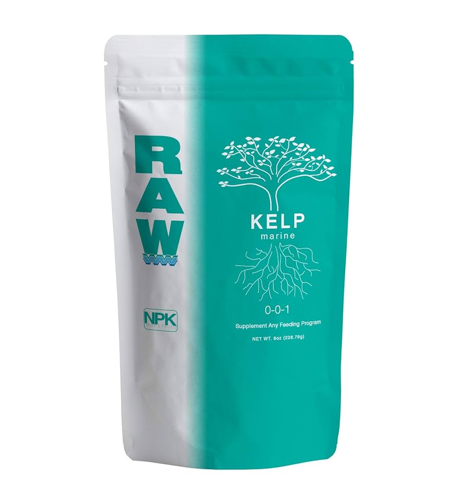 工芸品 raw life factory Cabanel SEAWEED 工芸品 raw life factory Cabanel SEAWEED 工芸品 raw life