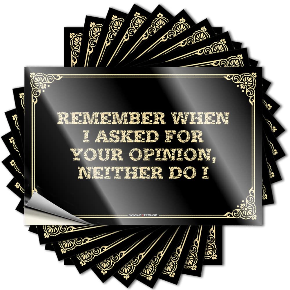 Remember When I Asked for Your Opinion,Neither Do I Tattoos Retro Room Decor Self Adhesive | Fire Window Vinyl Sticker Pack for Comfort(6X9CM)
