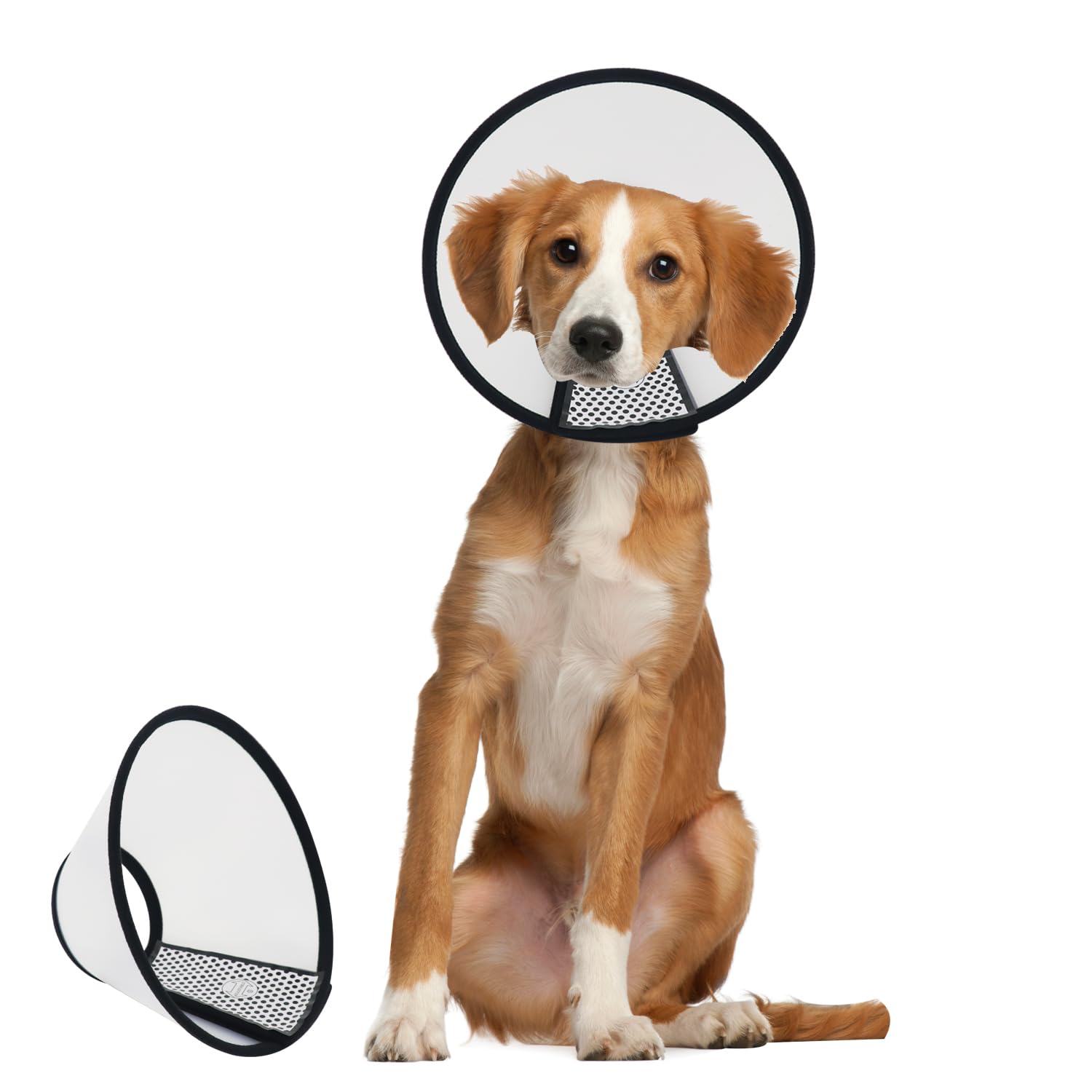 Dog Cone After Surgery, Adjustable Pet Recovery Collar for Dogs and Cats, Plastic Elizabethan Neck E-Collar Stop Licking Wounds (XL)