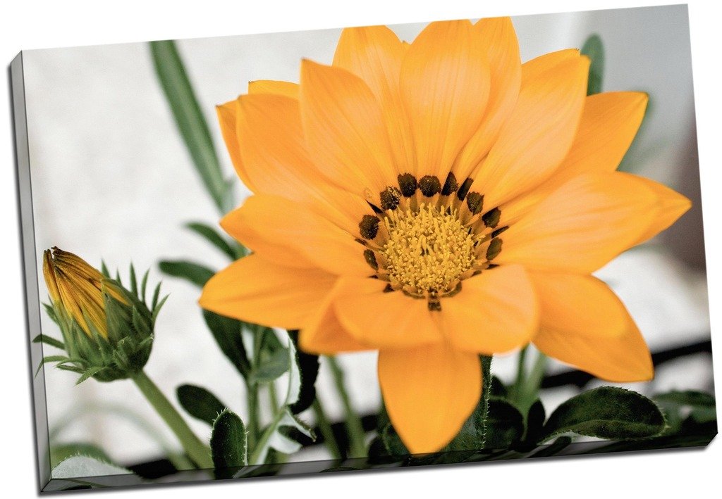 Panther Print Orange Floral Sunflower Canvas Print Picture Wall Art Large 30X20 Inches (76.2Cm X 50.8Cm)