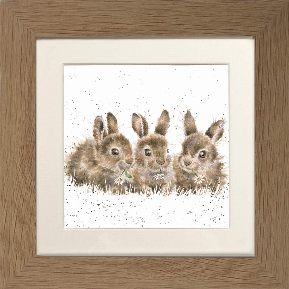 Wrendale Design"Daisy Chain" Rabbit Framed Picture in Various Frame Colours (Oak)