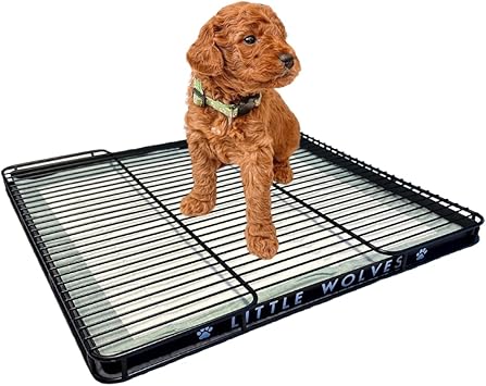 Little Wolves Puppy Potty Tray – 22x22 Shred-Proof Heavy-Duty Training Tray for Puppies & Small Dogs, Easy-Clean, Indoor Dog Pee Pad Holder (Medium Gap)