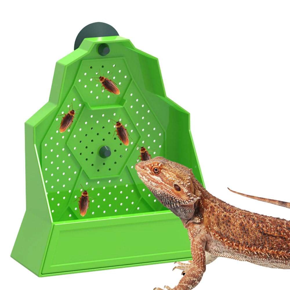 DONGKER Bearded Dragon Feeder,Anti-escape Reptile Wall-Mounted Feeding Dish Adjustable Suction Cup Height for Lizard Bearded Dragon Gecko Frog
