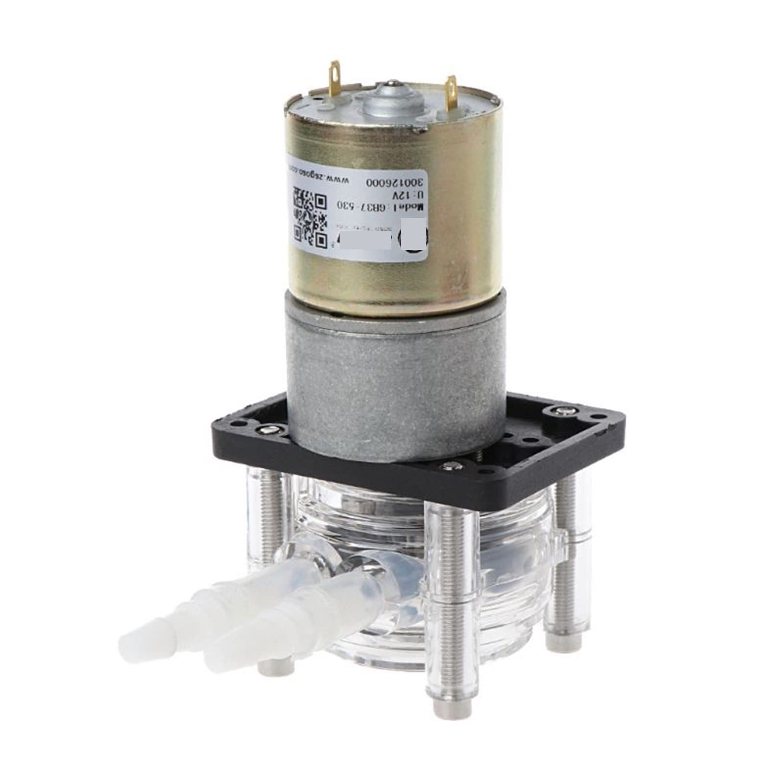 Bombas de Diafragma, Bomba peristáltica de 12/24 V CC, bomba dosificadora de gran flujo, analítica de laboratorio for acuario al vacío(12V)