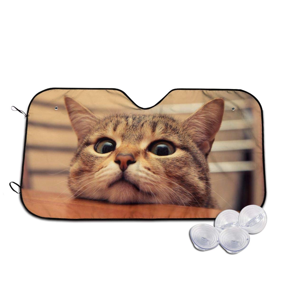 【希少品】 ネコのガラスカード \"Kevät metsä\" 希少品】 ネコのガラスカード 