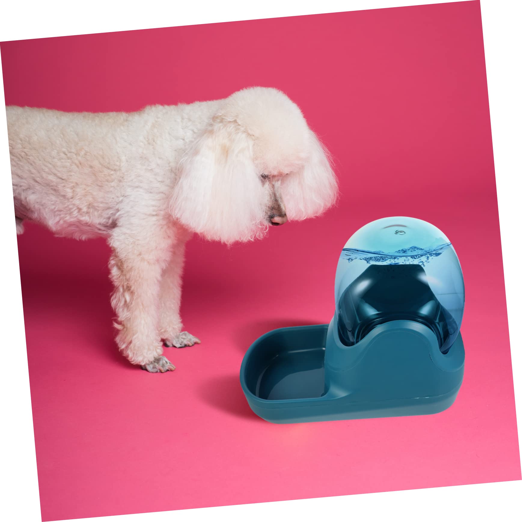 Bebedero Automático para Gatos y Mascotas 3, 8 L Verde | Plástico Desmontable, Dispensación Automática de Agua, Diseño Simple para Casa
