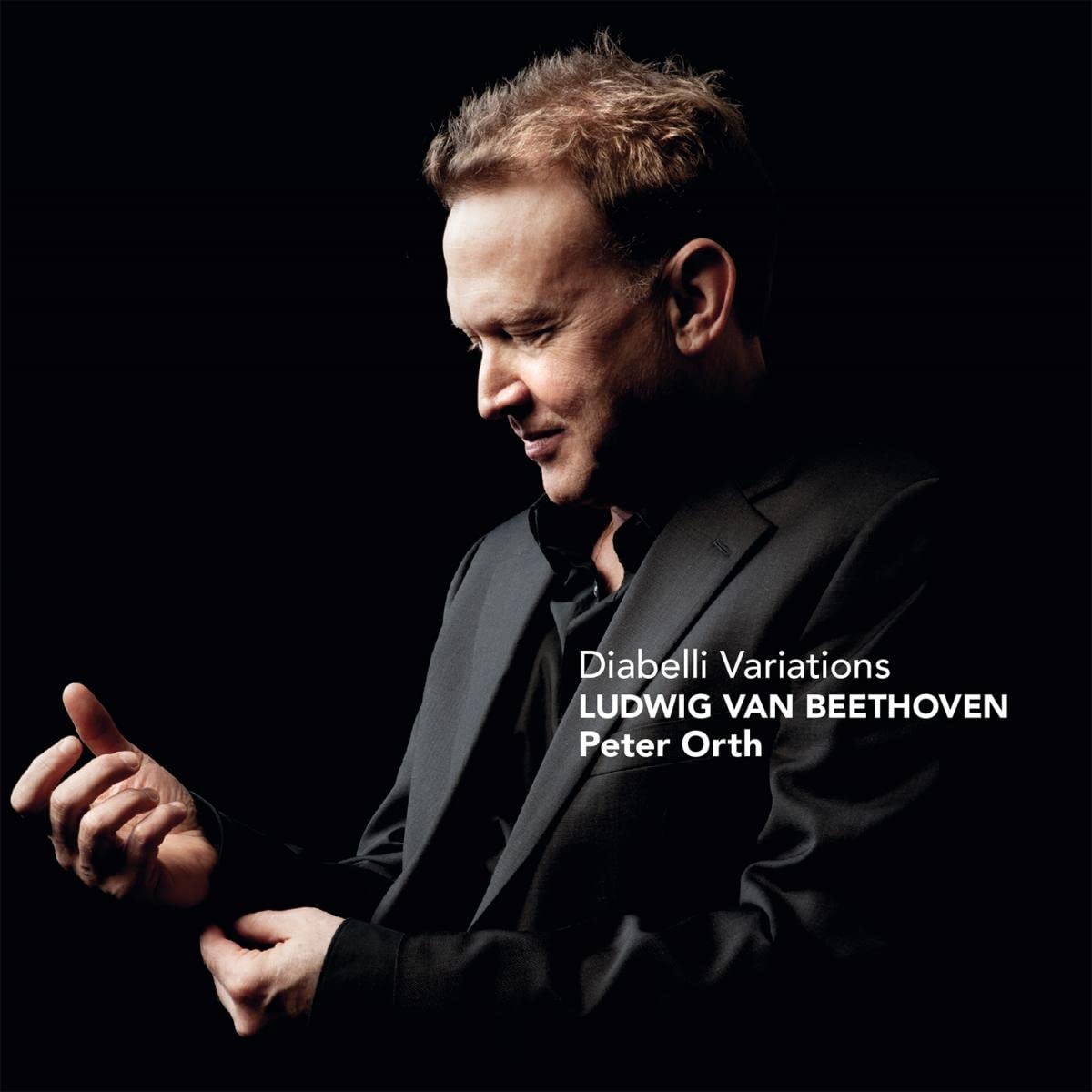Vinyl Castle Ludwig Van Beethoven: Diabelli Variations