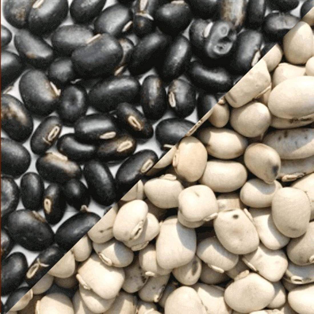 Hardia Kaunch Beej Black kaunch Beej 100 gm White Kaunch Beej 100 gm combo pack 200 gram (B08HL2CBW3) Amazon Price History, Amazon Price Tracker