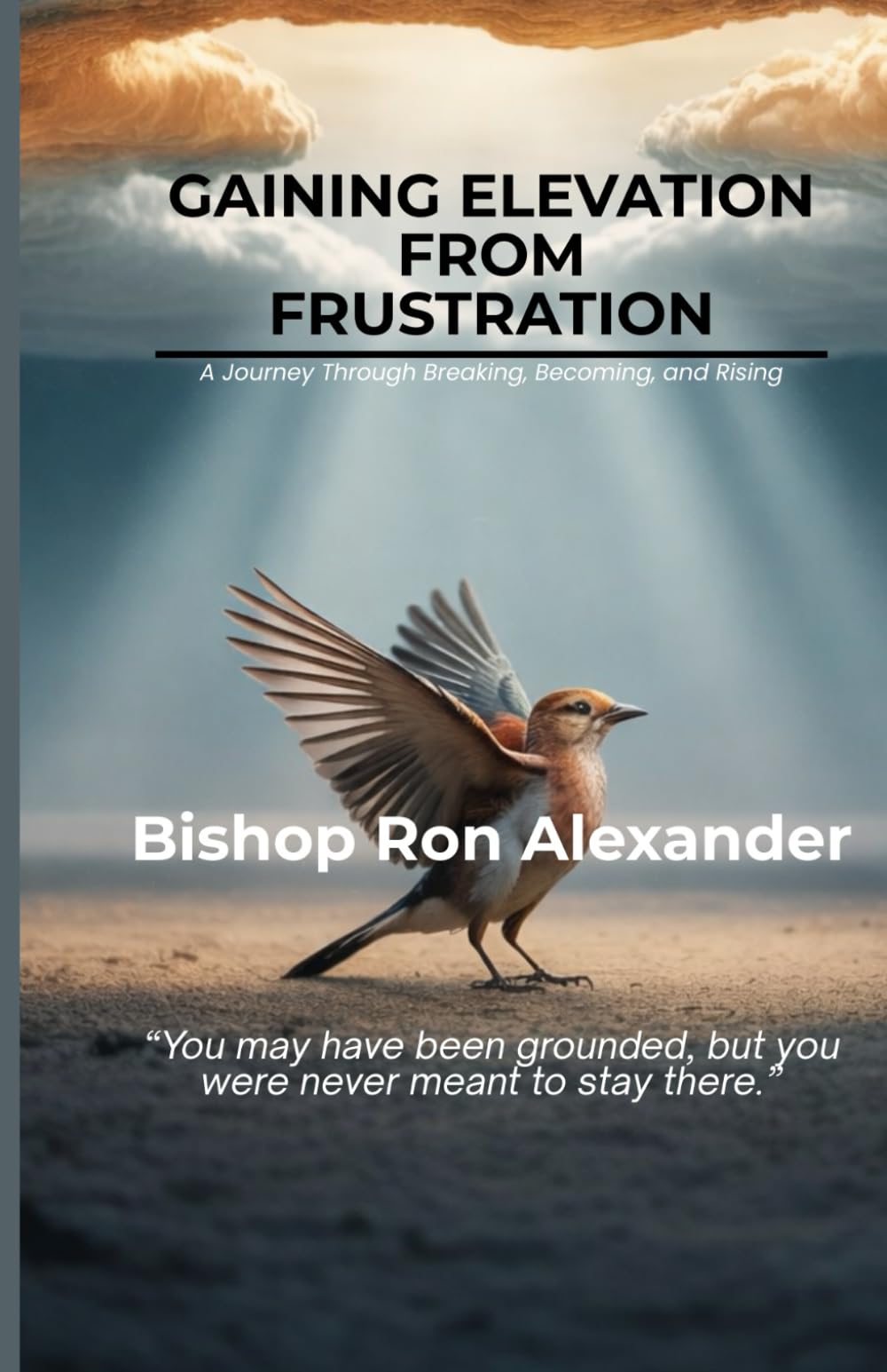 Gaining Elevation From Frustration: A Journey Through Breaking, Becoming, and Rising