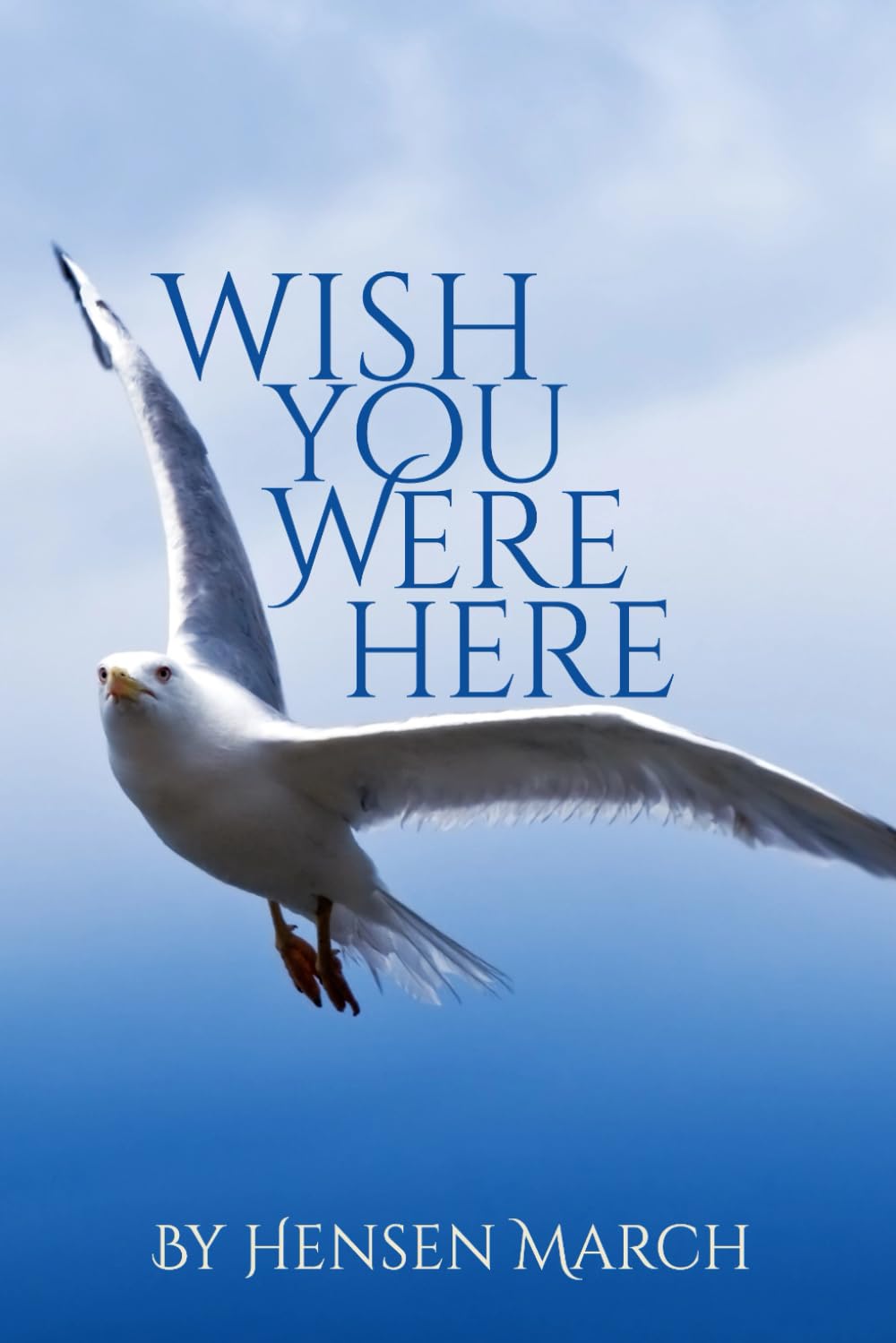 Wish You Were Here